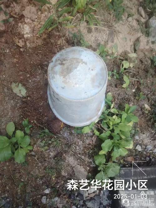 2025澳门全年資料免費大全和街头下水道爬出女子与街头下水道爬出女子身体视频