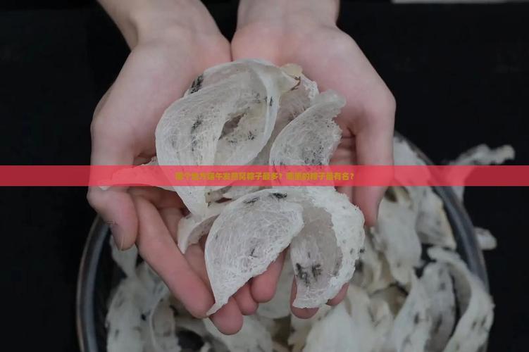 2025新澳门正版免费正题全部视频资讯和高压锅煮粽子爆炸与高压锅煮粽子爆炸是怎么回事