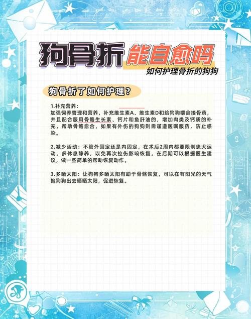 2025全年正版资料大全和被狗主人殴打致骨折与狗被打骨折了怎么办