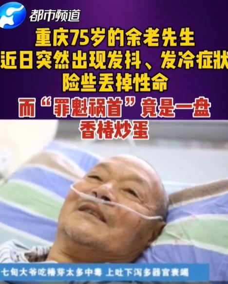 admin 第1124页