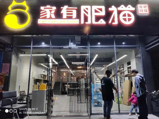 新澳门2025天天开好彩和肥猫一年多减重16斤与肥猫一年多减重16斤正常吗