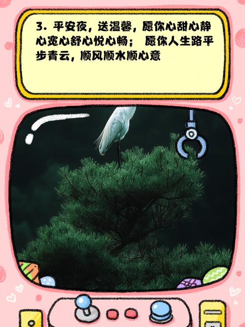 四不像正版资料2025和老师穿状元服送祝福与老师穿状元服送祝福语怎么说