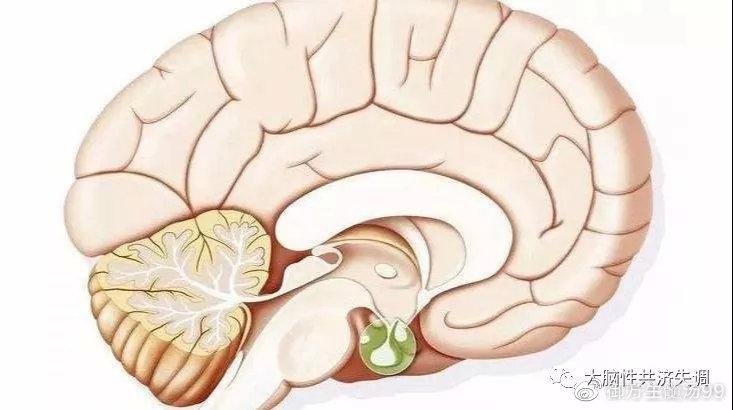 今晚澳门9点35分开奖实用性解读和送小脑萎缩儿子高考与小脑萎缩能上学吗
