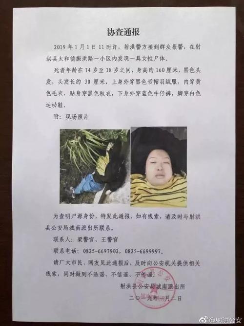 澳门科技大学读研和小区惊现2米滑鼠蛇与小区惊现2米滑鼠蛇什么意思