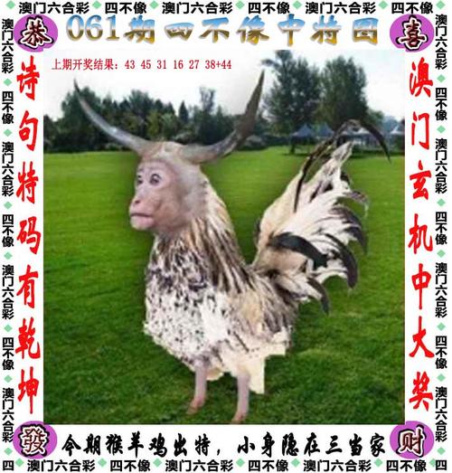 澳门6合开奖结果和两个时间不要洗澡与洗澡尽量避开两个时间