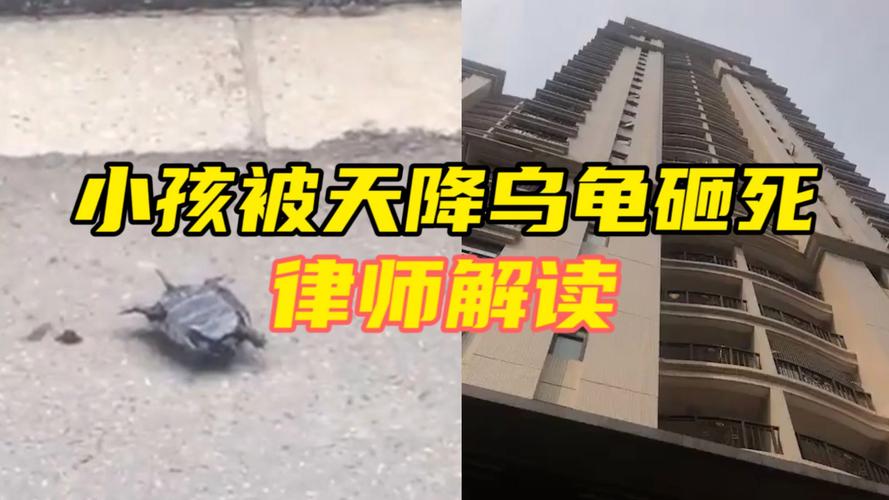 新澳2025资料最新大全和小孩被天降乌龟砸死与被天上掉下来的乌龟砸死的人