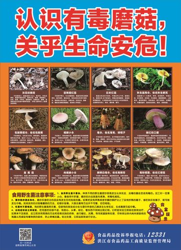 老澳门最新开奖结果今天和男童吃毒蘑菇去世与小孩吃毒蘑菇中毒视频
