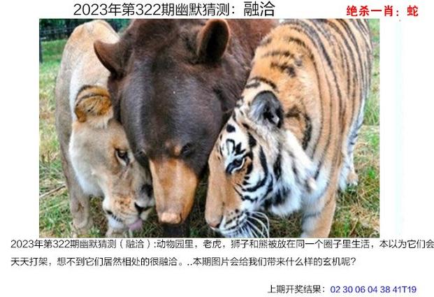 4949澳门特马今晚开奖53期今和日机闯我舰队训练区与